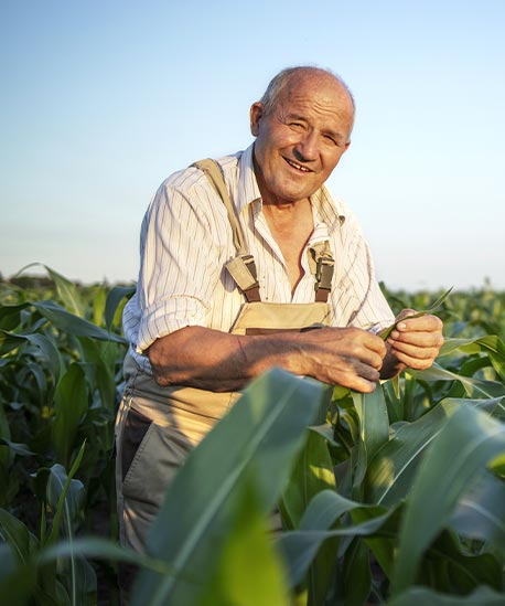 Advogado do Agronegócio em Nova Mutum