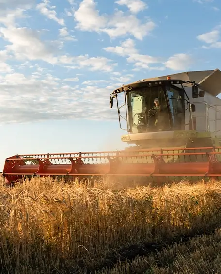 Advogado para Inventário e Herança em Xanxerê